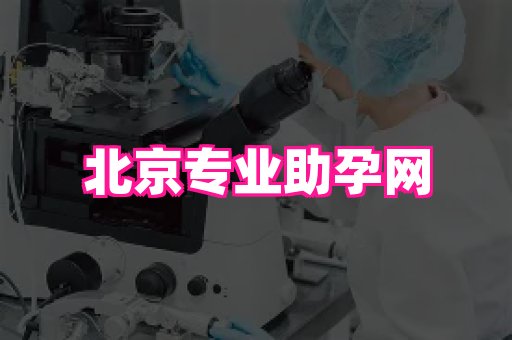乐乐助孕网 2