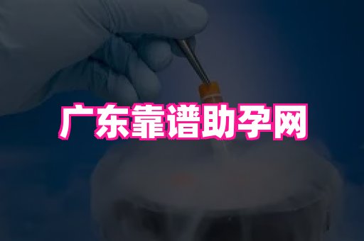 乐乐助孕网 3