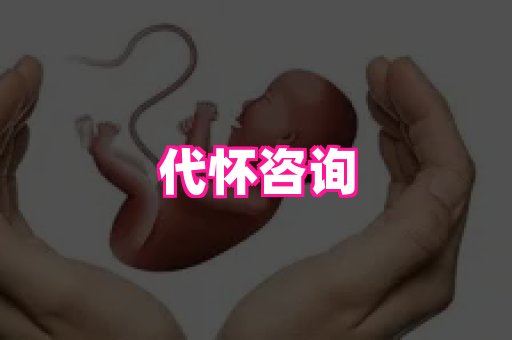 乐乐助孕网 4